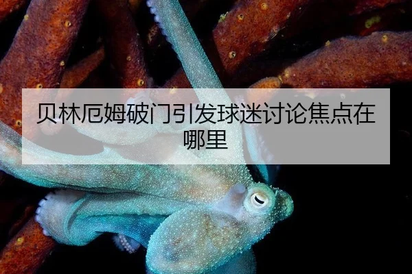 贝林厄姆破门引发球迷讨论焦点在哪里